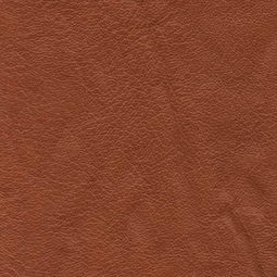 農(nóng)機(jī)租賃的創(chuàng)新發(fā)展 皮革貼圖007視角下的行業(yè)洞察